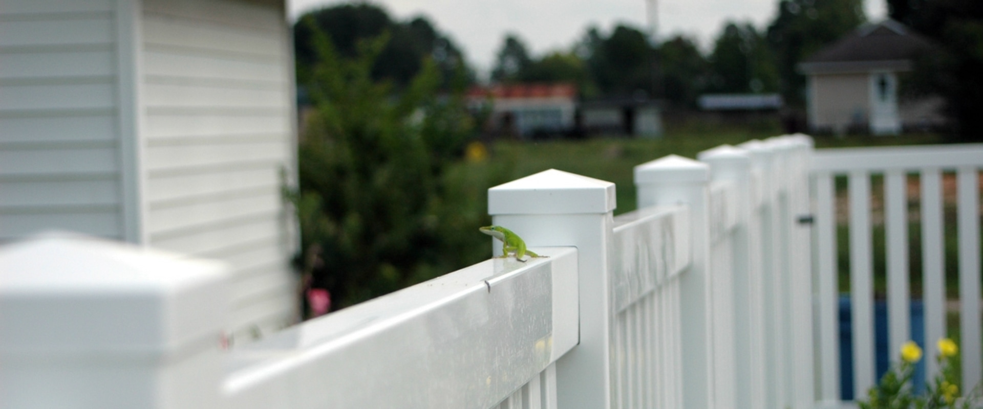 Top Considerations for Fencing New Plymouth’s Coastal Properties